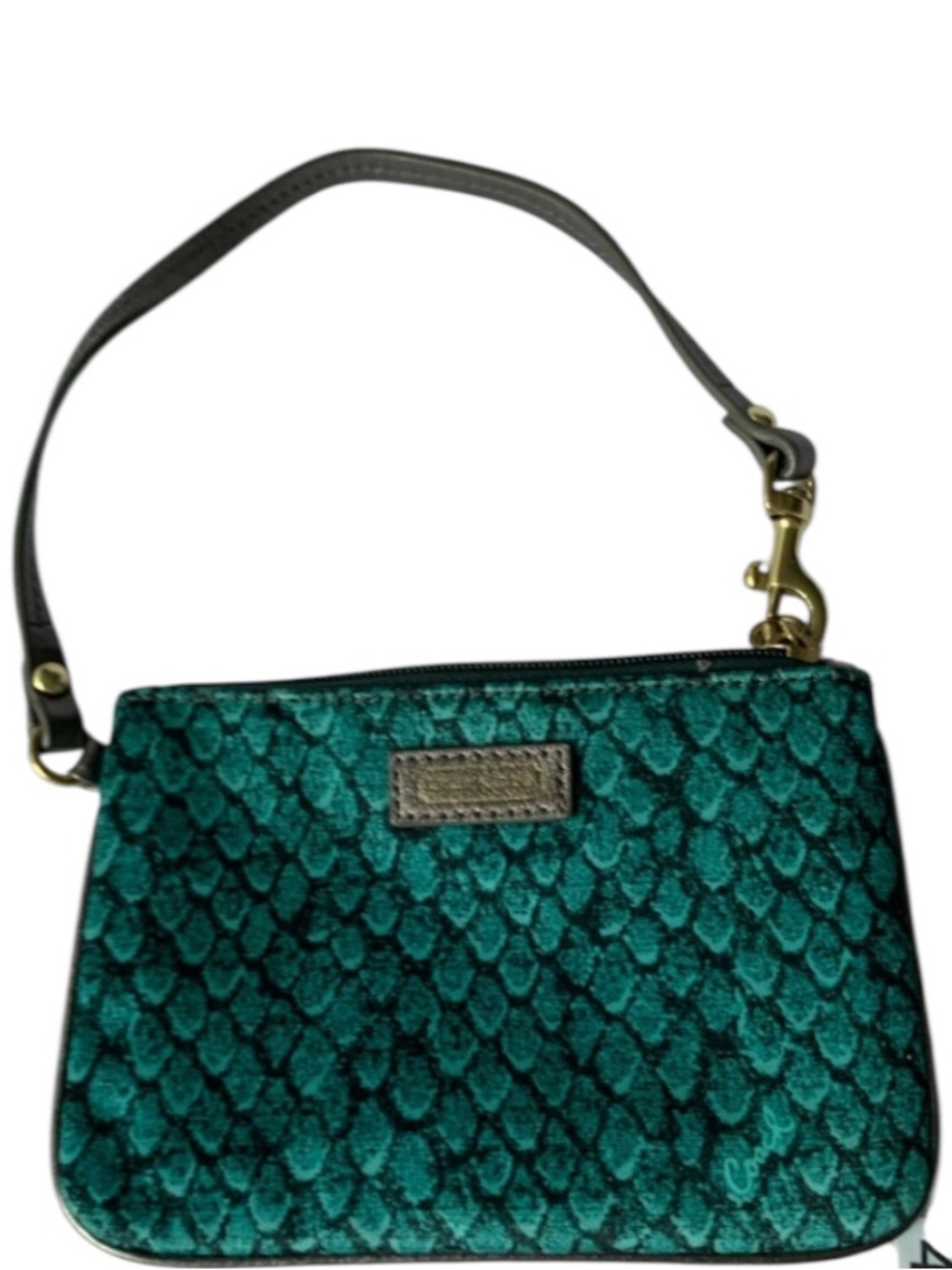 Coach Taylor Emerald Snake Print Small Wristlet